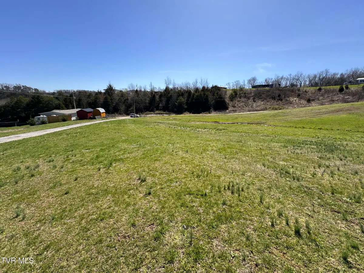 2 Ac Dulaney, Mosheim, TN 37818 - #1