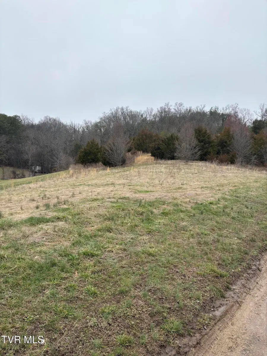 2 Ac Dulaney, Mosheim, TN 37818 - #2