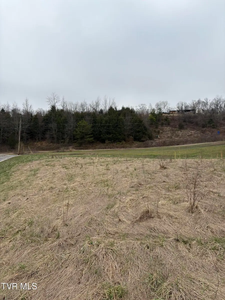 2 Ac Dulaney, Mosheim, TN 37818 - #3