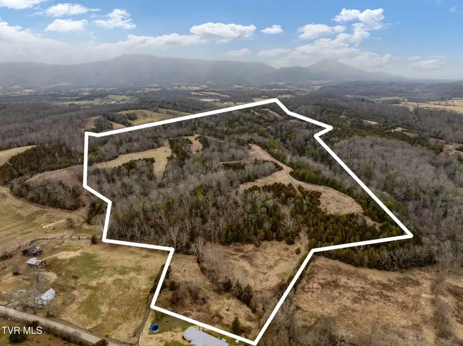 Tbd Smithtown Road, Afton, TN 37616 - #2