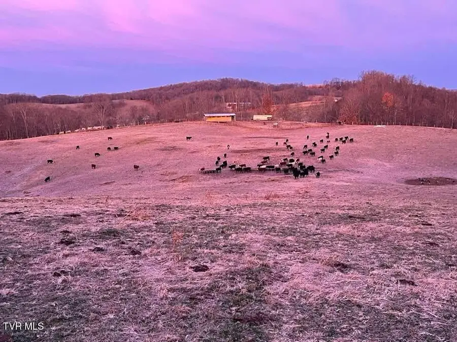 000 Strong Hollow Lane, Fort Blackmore, VA 24250 - #3