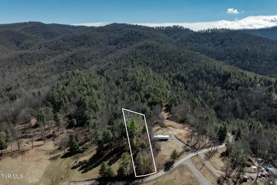 828 Red Brush Road, Mountain City, TN 37683 - #2