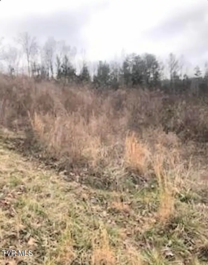 Tbd Pinnacle Pointe Way, Sharps Chapel, TN 37866 - #3