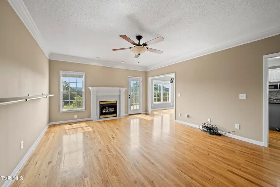 295 Southridge Drive, Blountville, TN 37617 - #2