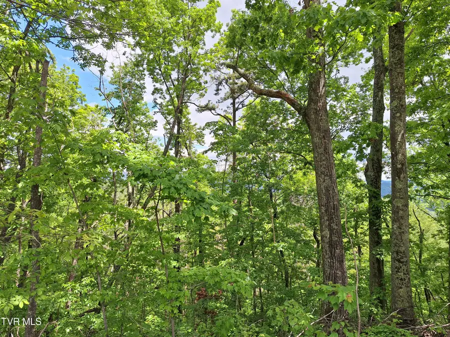 409 Dean Road, Mooresburg, TN 37811 - #2