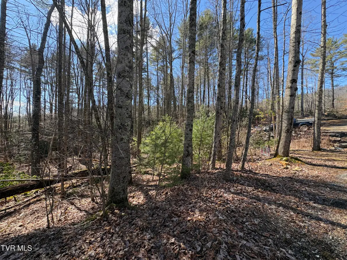 Lot 30 Gene Drive, Butler, TN 37640 - #1