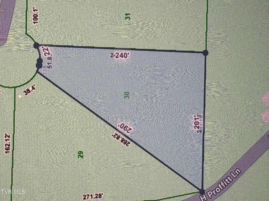 Lot 30 Gene Drive, Butler, TN 37640 - #3