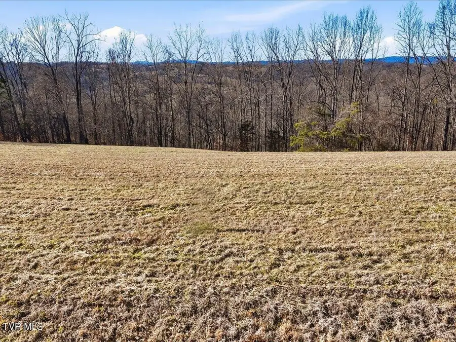 Lot 284 Smokey Quartz Boulevard, New Tazewell, TN 37825 - #3
