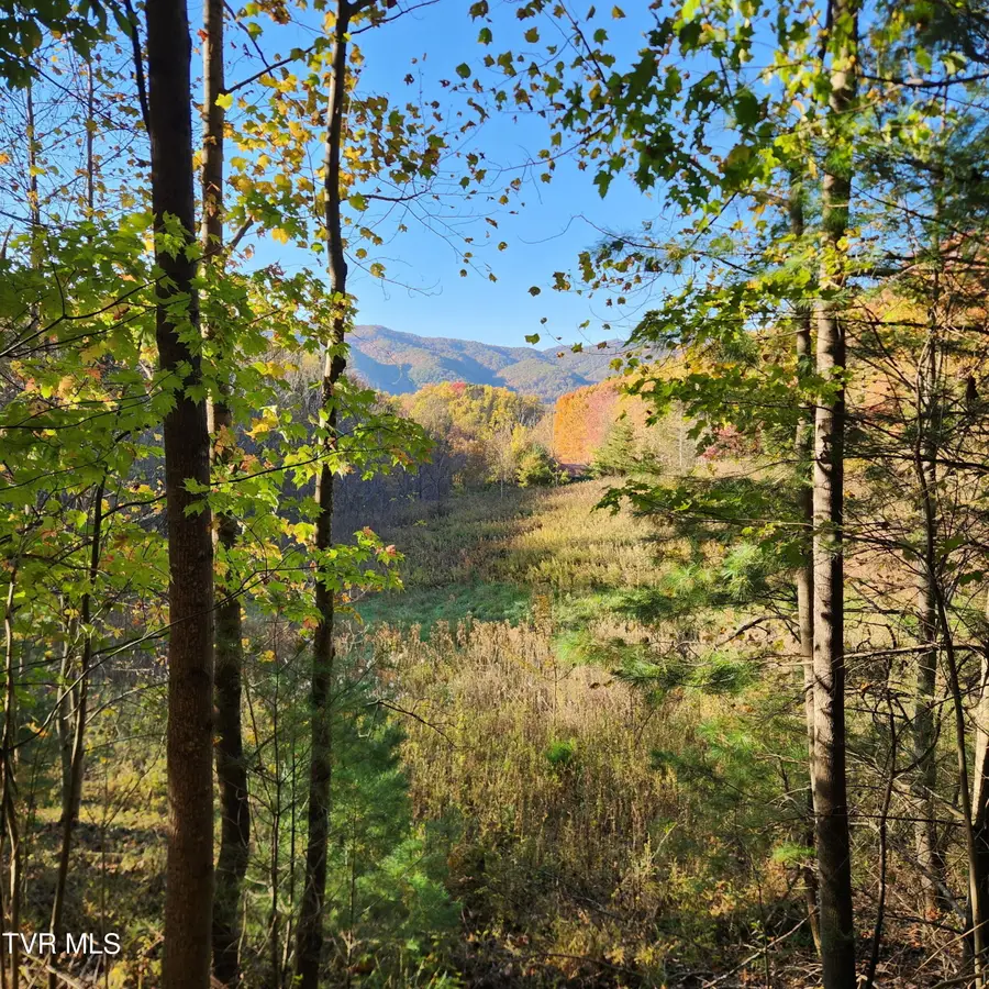 129 Oaks Road, Unicoi, TN 37692 - #2