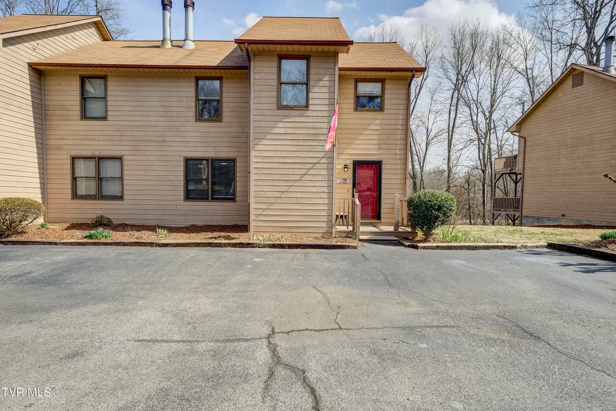 205 Windridge Colony, Johnson City, TN 37601 - #1