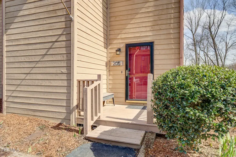 205 Windridge Colony, Johnson City, TN 37601 - #2