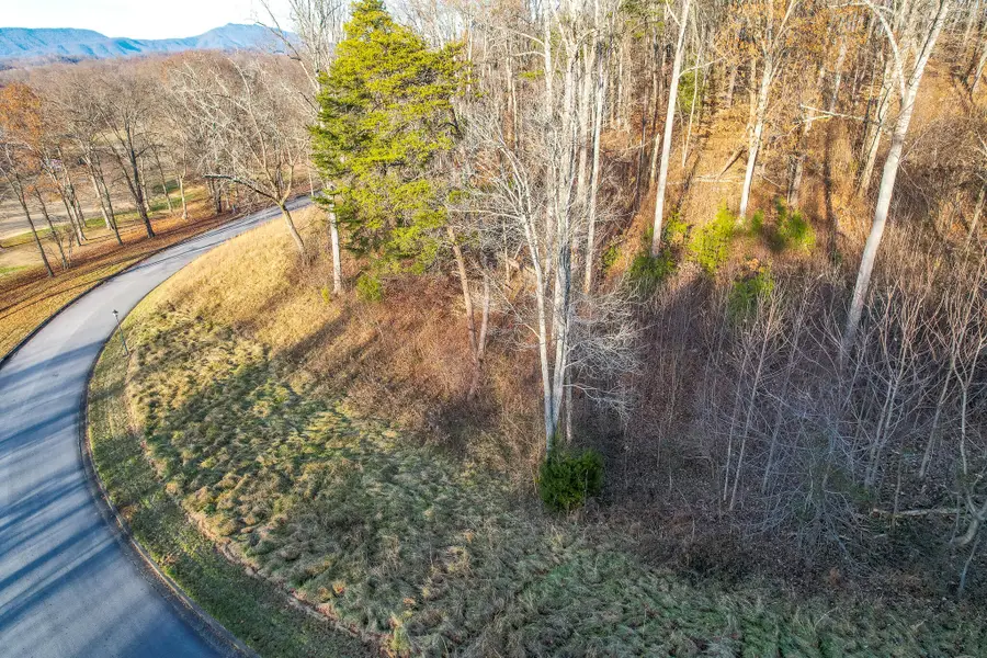 765 Chimney Top Lane, Chuckey, TN 37641 - #3