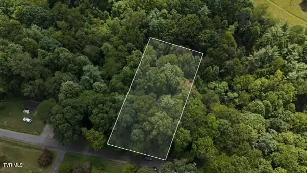 Tr 15.01 Pine Forest Lane, Unicoi, TN 37601 - #3