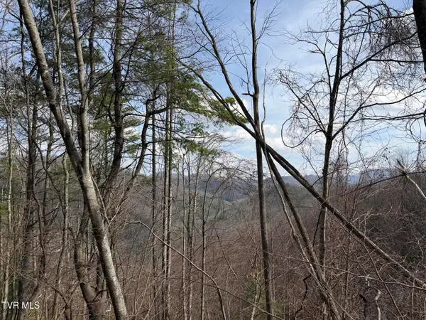 Tbd Highway 421, Mountain City, TN 37683