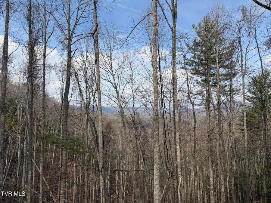 Tbd Highway 421, Mountain City, TN 37683 - #2