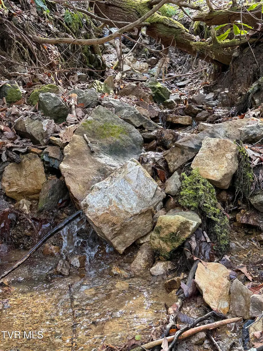 Tbd Highway 421, Mountain City, TN 37683 - #3