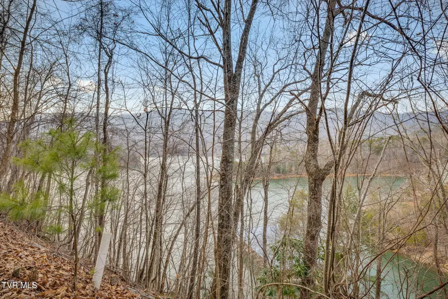 Tbd Bluestone Drive, Butler, TN 37640 - #2