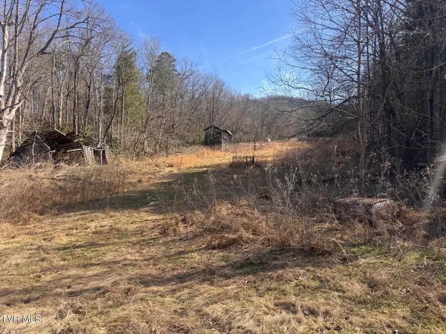 Tbd Jones Circle, Unicoi, TN 37692 - #2
