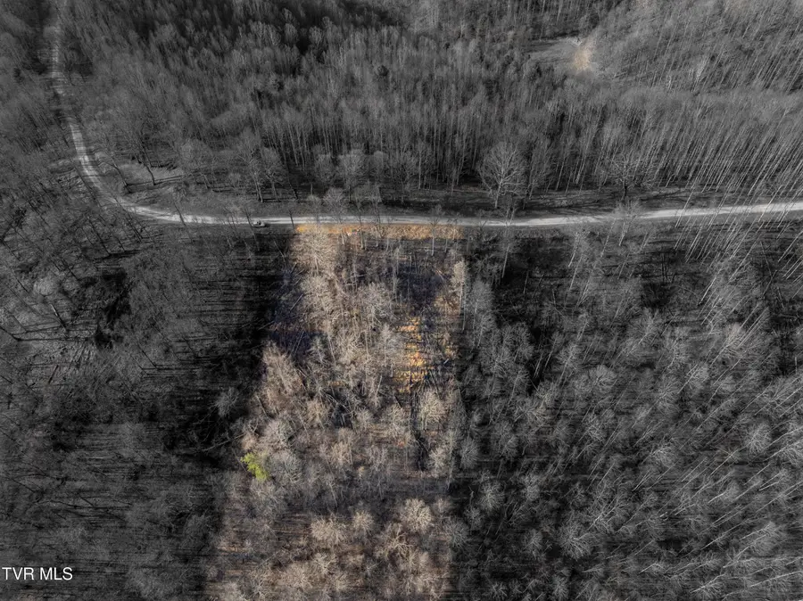 Lot 52 Summerfield Drive, Butler, TN 37640 - #2