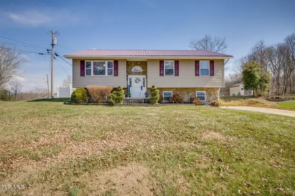 145 Morgan Lane, Fall Branch, TN 37656