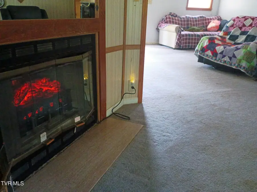 220 Fannin Road, Greeneville, TN 37743 - #3