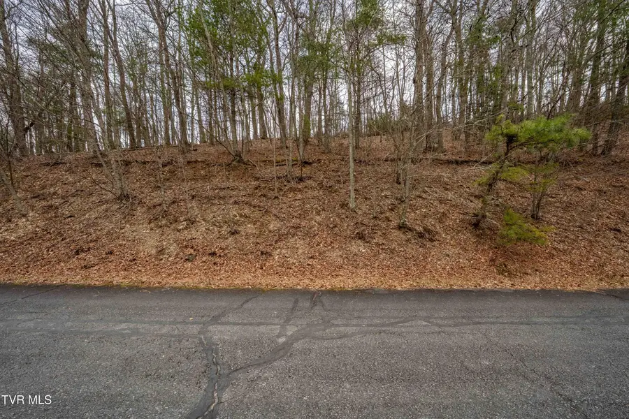 R-6 Callalantee Drive, Mountain City, TN 37683 - #3