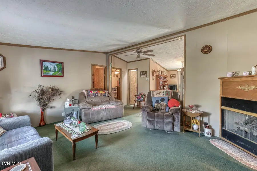 184 Kiser Circle, Jonesborough, TN 37659 - #3