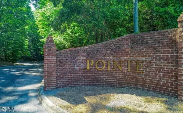 Lot 55 Brooks Pointe Drive, Rogersville, TN 37857