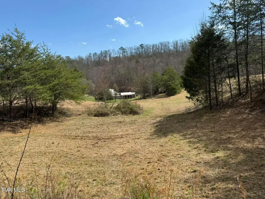 0 Dyer Hollow Road, Greeneville, TN 37745 - #3