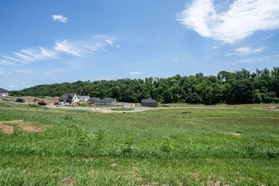 440 Gransley Court, Johnson City, TN 37615 - #2