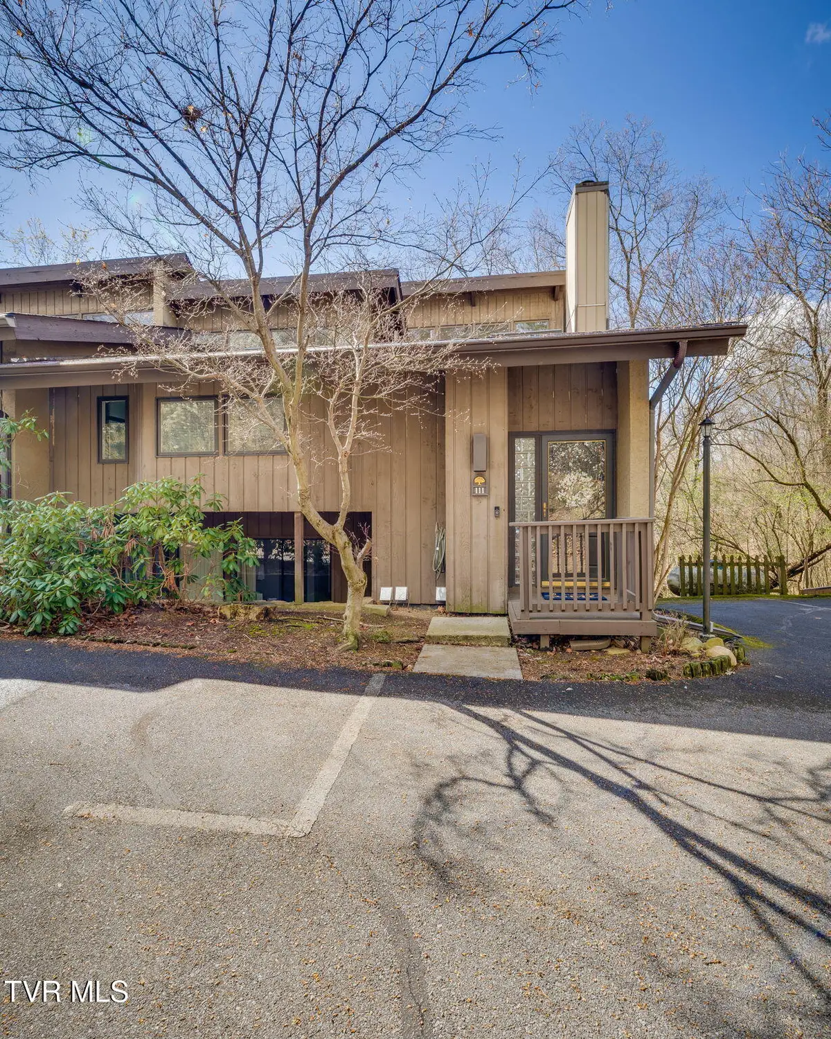 111 Tree Top Lane #111, Johnson City, TN 37601 - #1