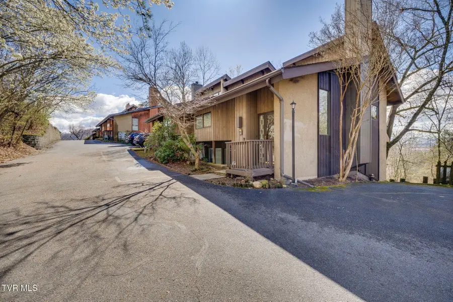 111 Tree Top Lane #111, Johnson City, TN 37601 - #2