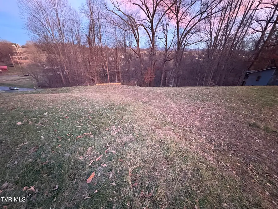 714 Turnpike Court, Jonesborough, TN 37659 - #3