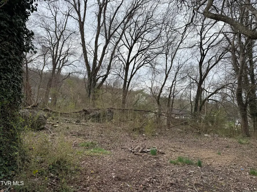 5749 Concord Street, Kingsport, TN 37664 - #2