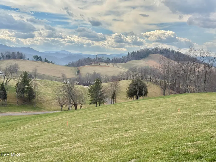 Lot 23 Prairie Overlook Road, Butler, TN 37640 - #3