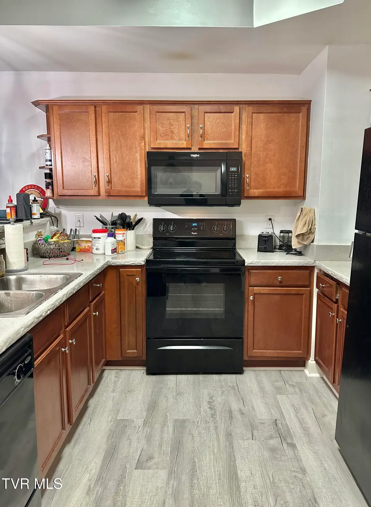 116 Tipton Street #Apt 304, Johnson City, TN 37604 - #1