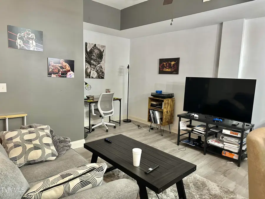 116 Tipton Street #Apt 304, Johnson City, TN 37604 - #3