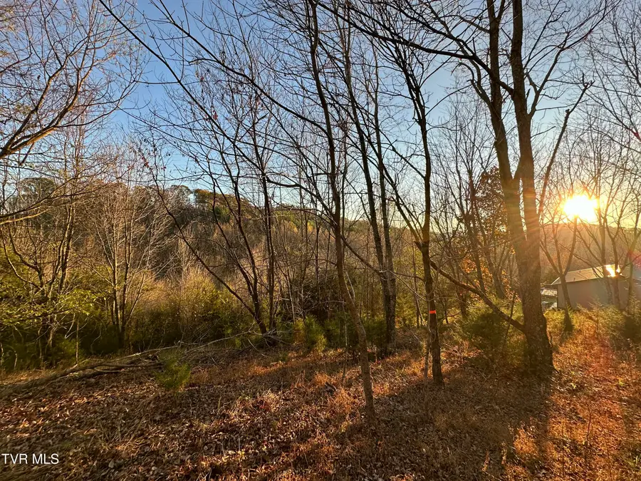 Tr 3 Charles Johnson Road, Chuckey, TN 37641 - #2