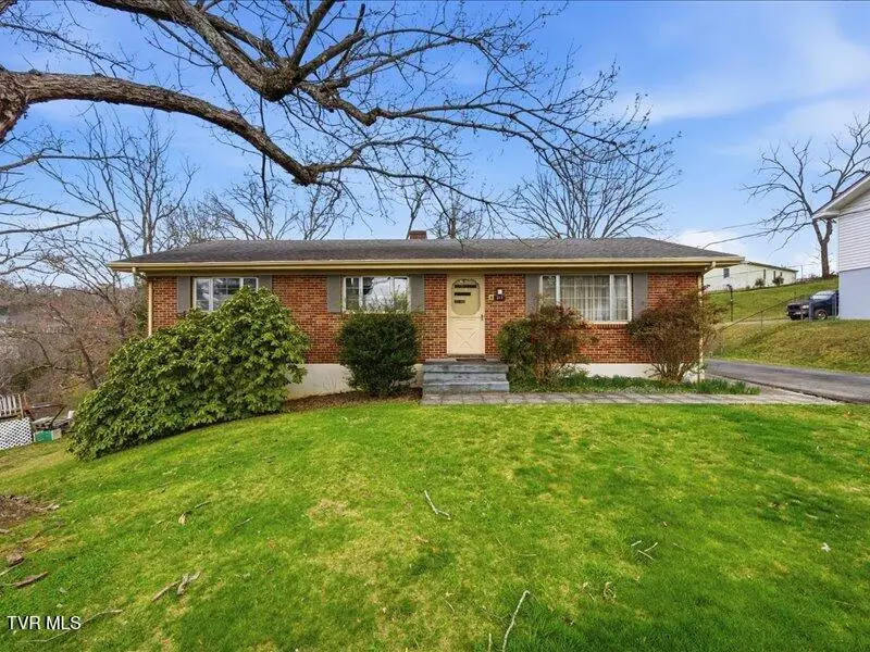 313 Belmont Drive, Bristol, TN 37620 - #1