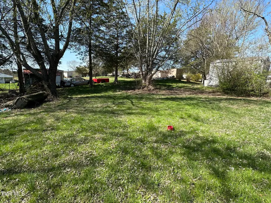 315 Alpine Loop, Mosheim, TN 37818 - #3