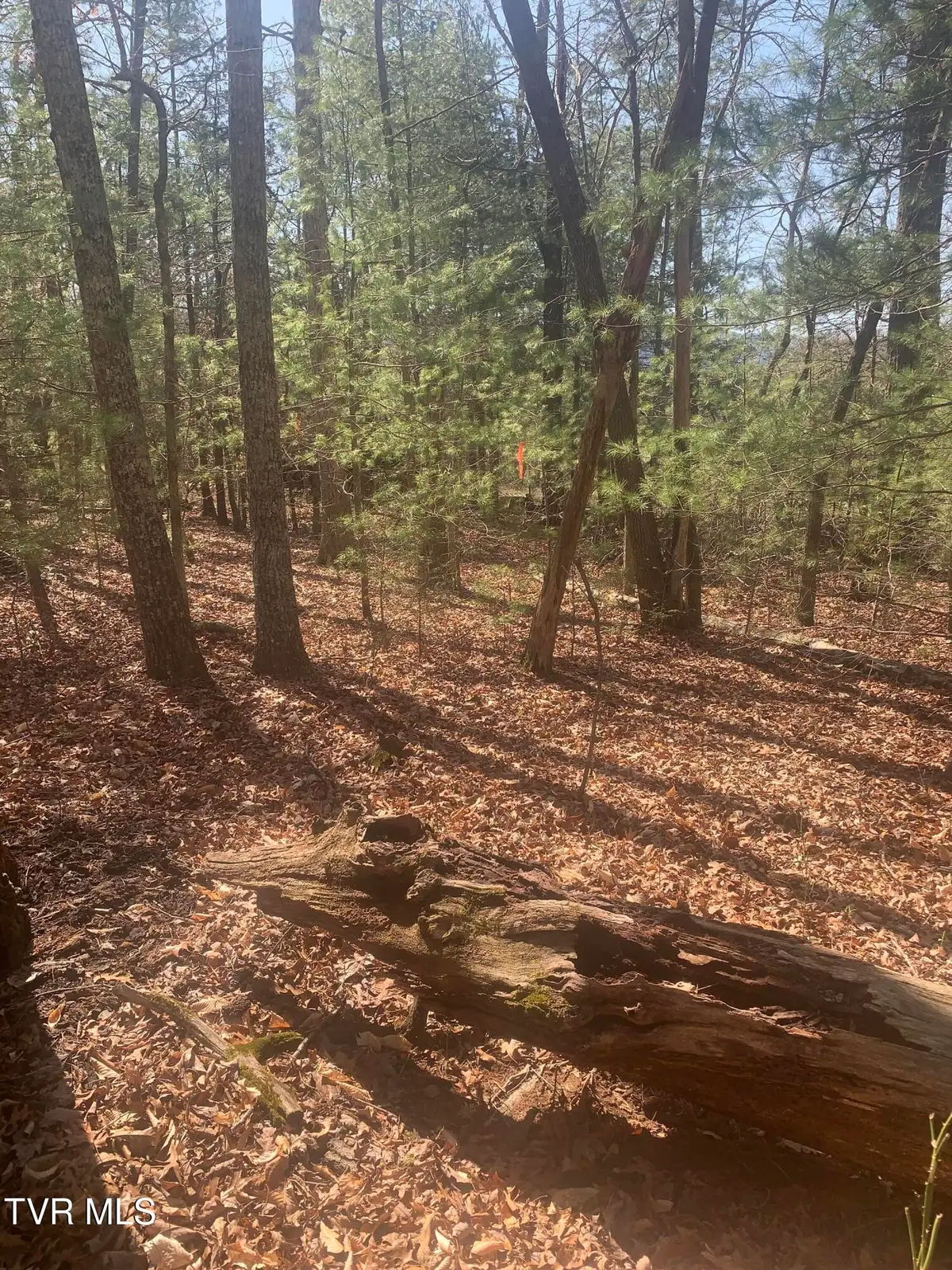 Tbd Junior Gray Road, Greeneville, TN 37743 - #1