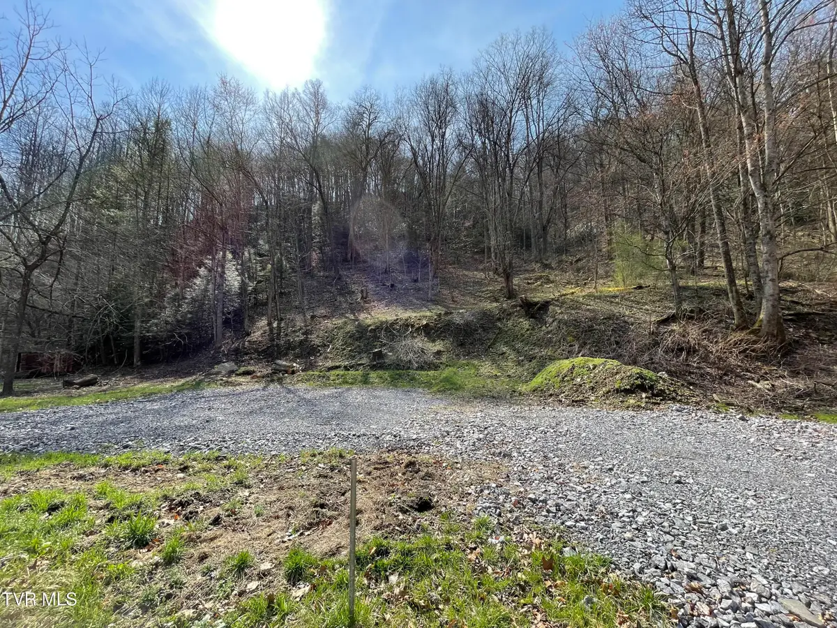 Tbd Sawmill Hollow Road, Dante, VA 24237 - #1