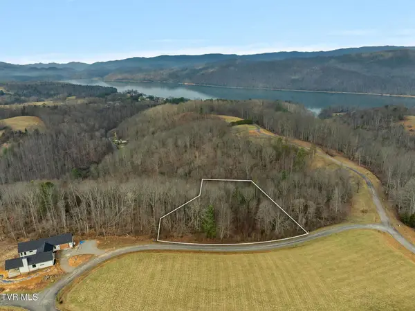 000 Mountain Laurel Lane Road, Butler, TN 37640
