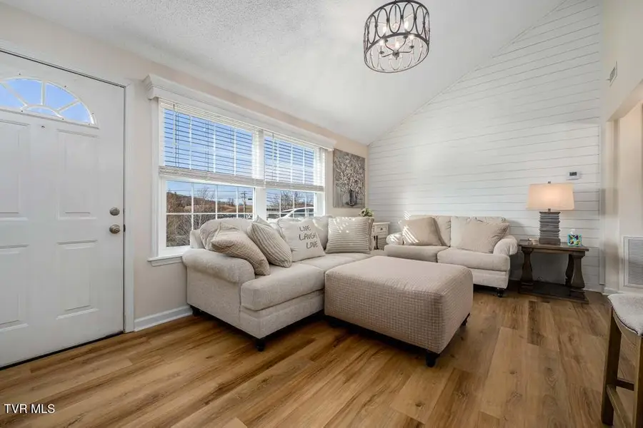 20 Boone Hill Court #20, Gray, TN 37615 - #3