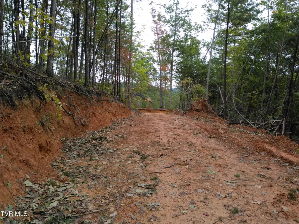 371 Pressmens Home Road, Rogersville, TN 37857 - #1