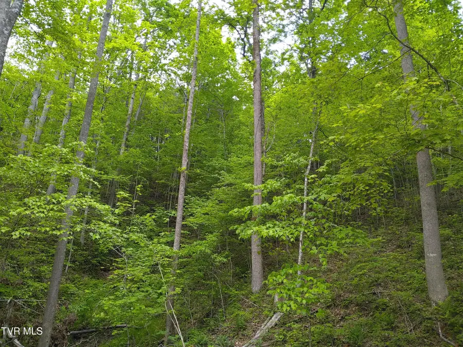 371 Pressmens Home Road, Rogersville, TN 37857 - #2