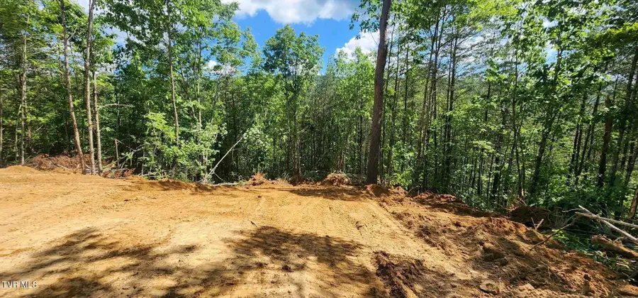 371 Pressmens Home Road, Rogersville, TN 37857 - #3