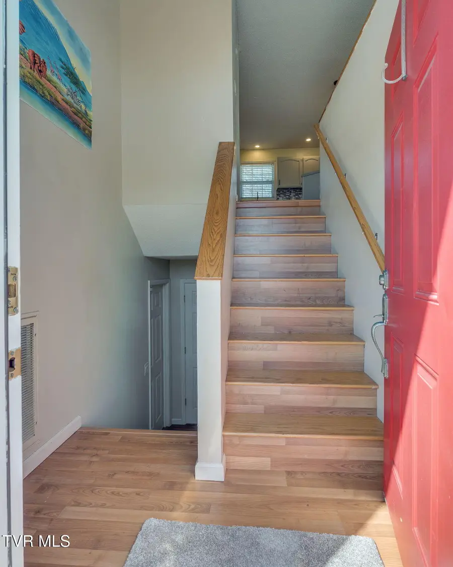 323 Gray Station Road, Gray, TN 37615 - #3