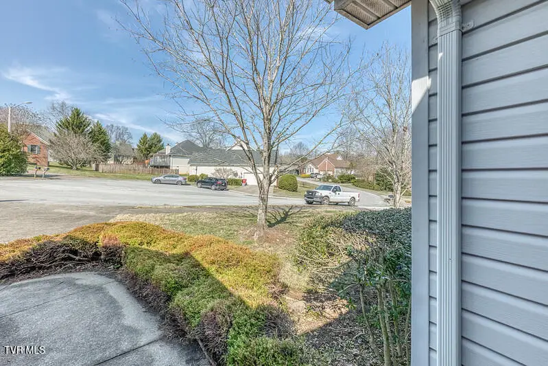 8 University Place, Johnson City, TN 37604 - #3