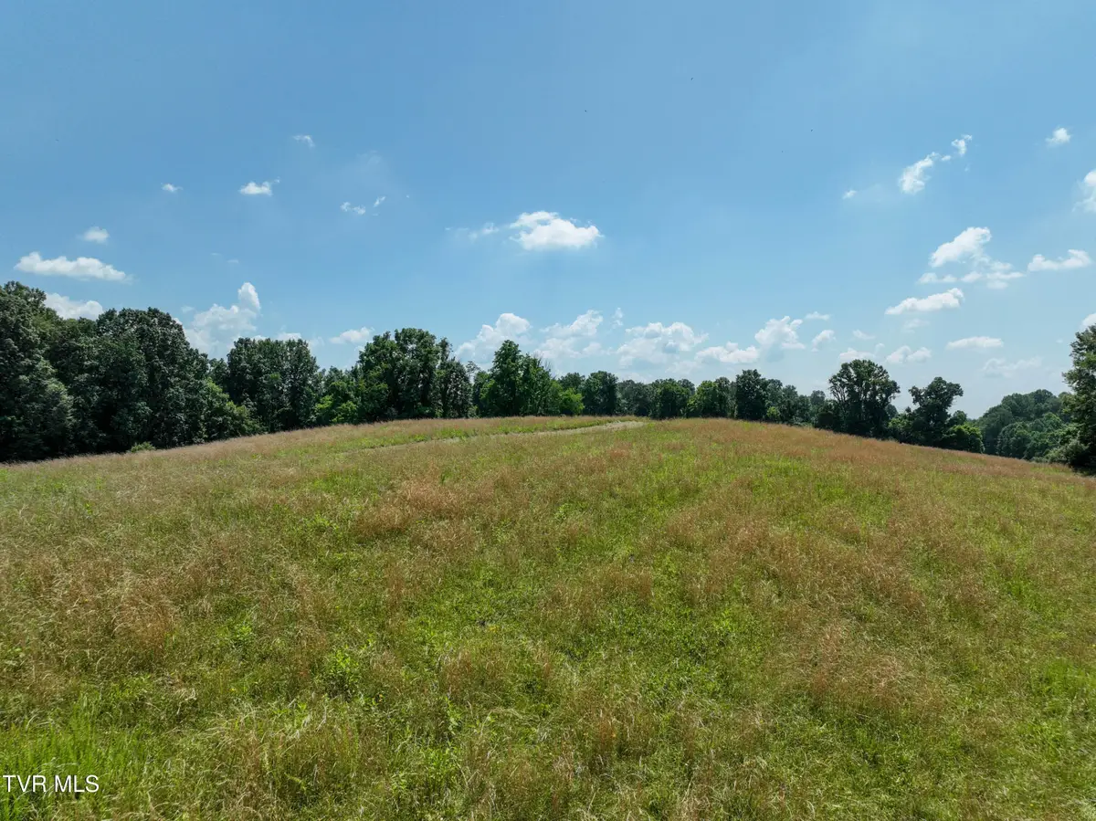 Lot 1 Devault Bridge Road, Piney Flats, TN 37686 - #1